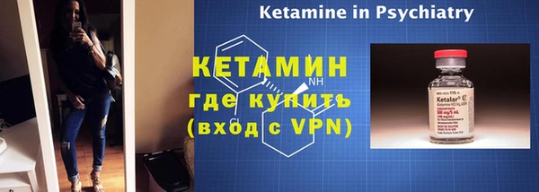 трава Сясьстрой