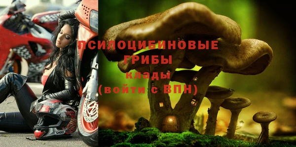 кокаин Тайга