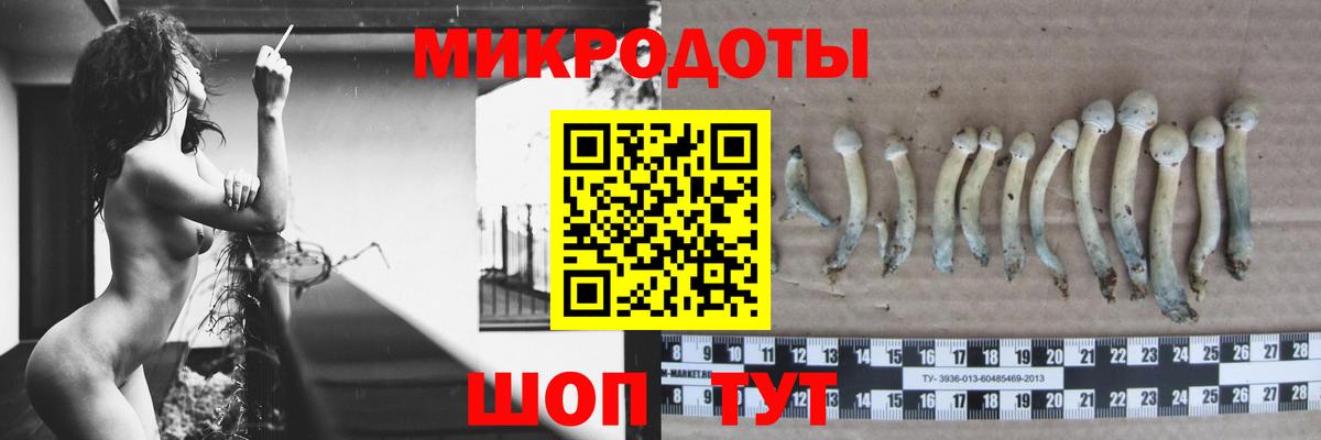 Псилоцибиновые грибы ЛСД  Галлюциногенные грибы Cubensis  Вход с VPN  Борзя 
